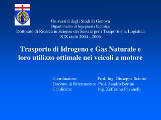 Coordinatore: Prof. Ing. Giuseppe Sciutto