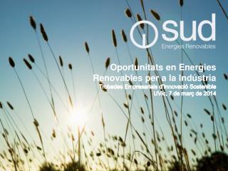 Oportunitats en Energies Renovables per a la Indústria