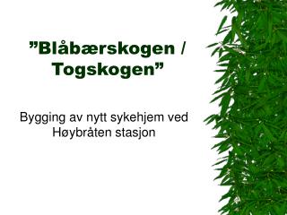 ”Blåbærskogen / Togskogen”