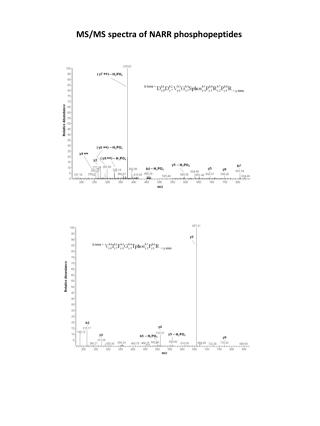 MS/MS spectra of NARR phosphopeptides