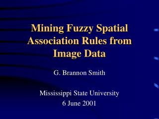 Mining Fuzzy Spatial Association Rules from Image Data