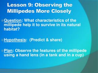 Lesson 9: Observing the Millipedes More Closely