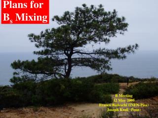 Plans for B s Mixing