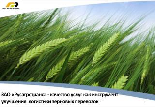 ЗАО «Русагротранс» - качество услуг как инструмент улучшения логистики зерновых перевозок
