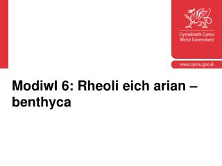 Modiwl 6: Rheoli eich arian – benthyca