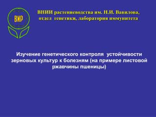 ВНИИ растениеводства им. Н.И. Вавилова, отдел генетики, лаборатория иммунитета