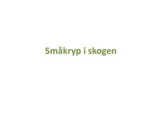 Småkryp i skogen