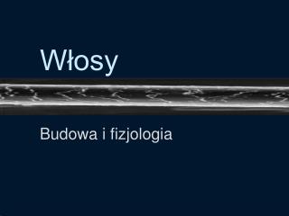 Włosy