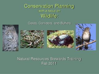 Conservation Planning