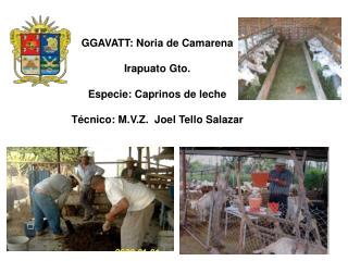 GGAVATT: Noria de Camarena Irapuato Gto.