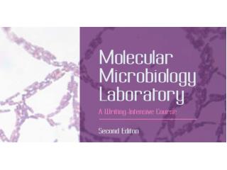 Molecular Microbiology Laboratory Instructor: Dr. Office Hours: by appointment