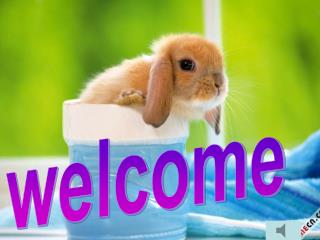 welcome