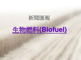 新聞匯報