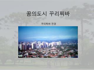 꿈의도시 꾸리찌바 꾸리찌바 전경