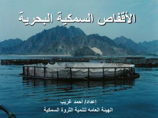 الأقفاص السمكية البحرية