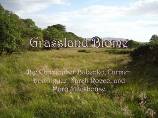 Grassland Biome