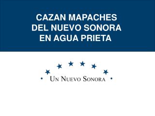 CAZAN MAPACHES DEL NUEVO SONORA EN AGUA PRIETA