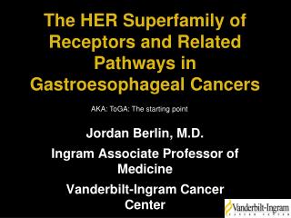 The HER Superfamily of Receptors and Related Pathways in Gastroesophageal Cancers