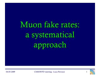 Muon fake rates: a systematical approach