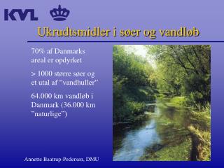 Ukrudtsmidler i søer og vandløb