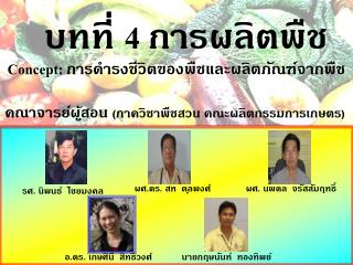 บทที่ 4 การผลิตพืช