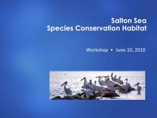 Salton Sea Species Conservation Habitat