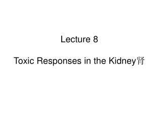 Lecture 8 Toxic Responses in the Kidney 肾