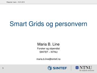 Smart Grids og personvern