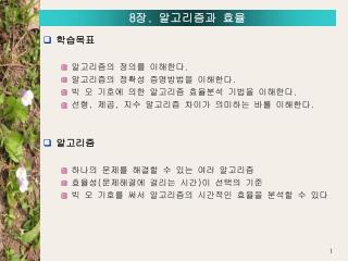 8 장 . 알고리즘과 효율