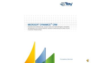 Rabiztech Microsoft Dynamics CRM Competency Brochure