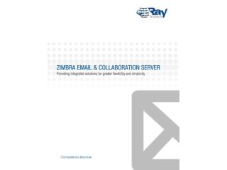 Raybiztech Zimbra Email Services