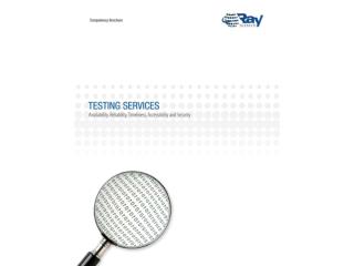 Raybiztech Testing Services