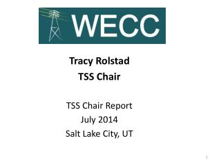 Tracy Rolstad TSS Chair TSS Chair Report July 2014 Salt Lake City, UT