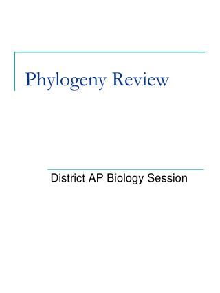 Phylogeny Review