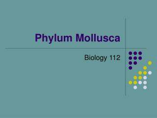 Phylum Mollusca