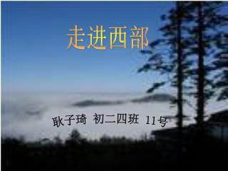 耿子琦 初二四班 11 号