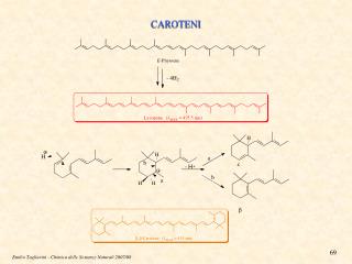 CAROTENI