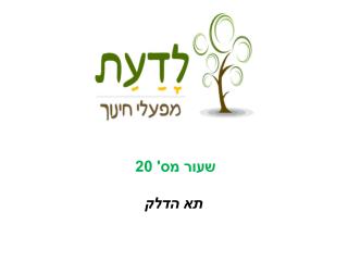 תא הדלק