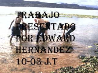 TRABAJO PRESENTADO POR EDWARD HERNANDEZ 10-03 J.T