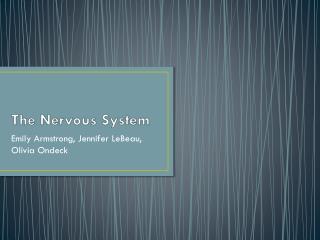 The Nervous System