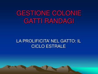 GESTIONE COLONIE GATTI RANDAGI