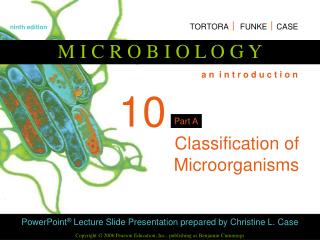 Classification of Microorganisms