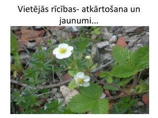 Vietējās rīcības- atkārtošana un jaunumi...