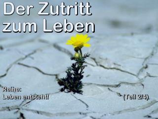 Der Zutritt zum Leben