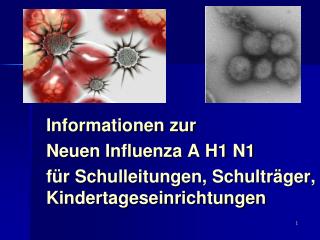 Informationen zur Neuen Influenza A H1 N1