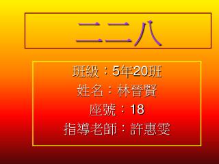 二二八