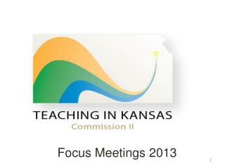 Focus Meetings 2013