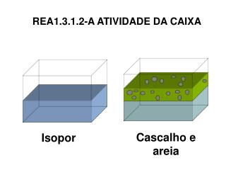 REA1.3.1.2-A ATIVIDADE DA CAIXA