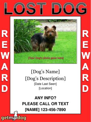 [Dog ’ s Name] [Dog ’ s Description] [Date Last Seen] [Location] ANY INFO? PLEASE CALL OR TEXT