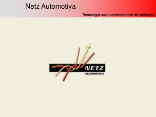 Netz Automotiva Tecnologia com conhecimento da aplicação